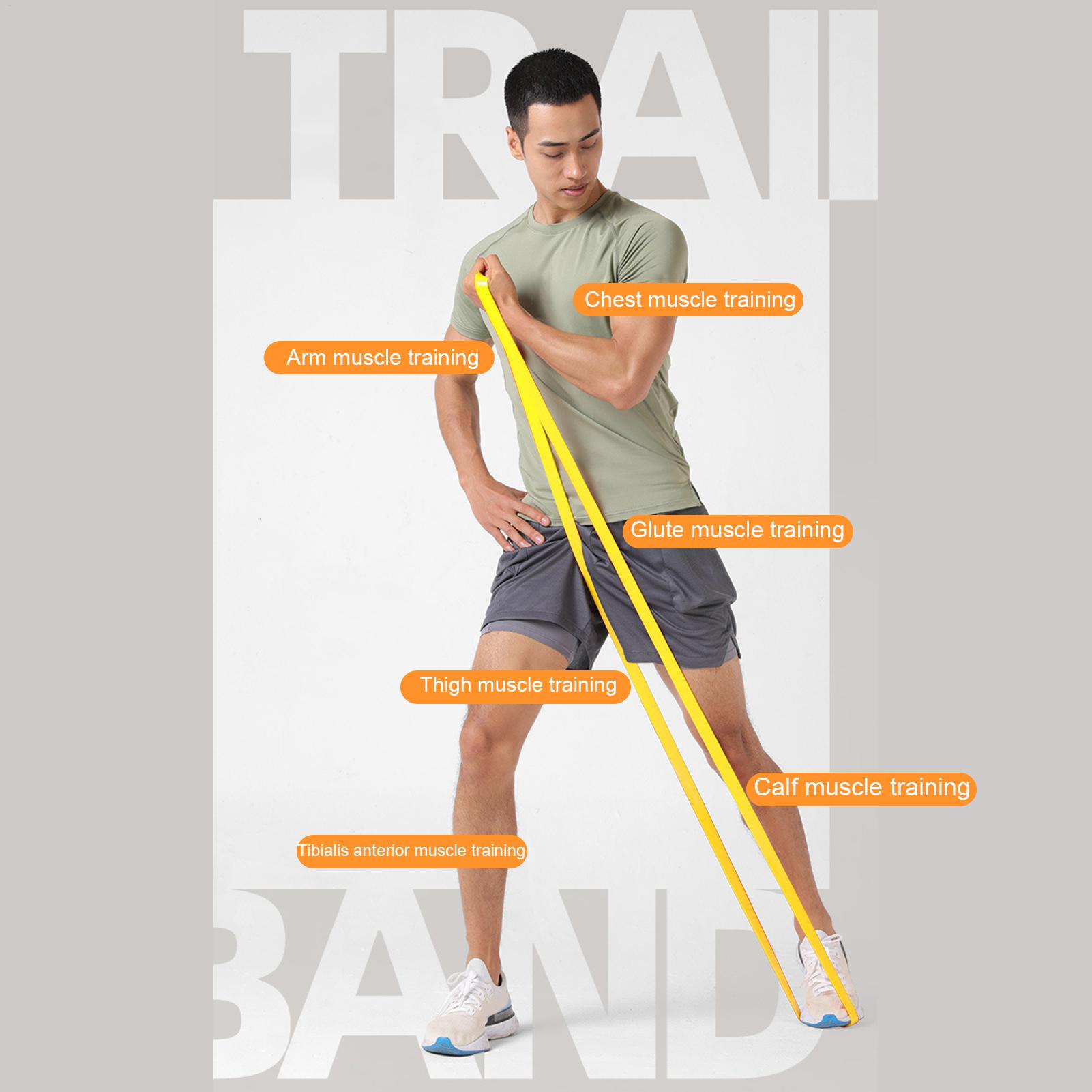 1pc Workout Resistance Bands E - đánh giá và giá Milanaise Mesh Band